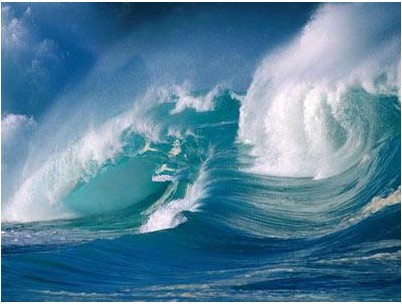 �����Z���ˣ��̈��Ƶ걣�������΄݇�(y��n)��